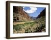 Looking Downriver From Nankoweap Canyon, Grand Canyon National Park, Arizona, USA-Bernard Friel-Framed Photographic Print