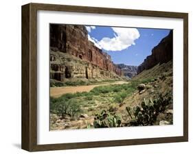 Looking Downriver From Nankoweap Canyon, Grand Canyon National Park, Arizona, USA-Bernard Friel-Framed Photographic Print