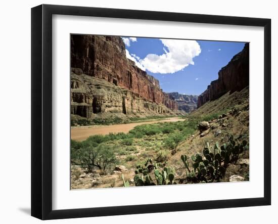 Looking Downriver From Nankoweap Canyon, Grand Canyon National Park, Arizona, USA-Bernard Friel-Framed Photographic Print