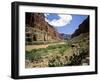 Looking Downriver From Nankoweap Canyon, Grand Canyon National Park, Arizona, USA-Bernard Friel-Framed Photographic Print