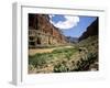 Looking Downriver From Nankoweap Canyon, Grand Canyon National Park, Arizona, USA-Bernard Friel-Framed Photographic Print