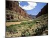 Looking Downriver From Nankoweap Canyon, Grand Canyon National Park, Arizona, USA-Bernard Friel-Mounted Photographic Print