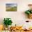 Looking East to Kings Hill and Sewingshields Crag, Hadrians Wall, England-James Emmerson-Mounted Photographic Print displayed on a wall