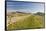 Looking East to Kings Hill and Sewingshields Crag, Hadrians Wall, England-James Emmerson-Framed Stretched Canvas