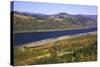 Looking East up the Columbia River, Columbia River Gorge National Scenic Area, Oregon-Craig Tuttle-Stretched Canvas