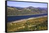 Looking East up the Columbia River, Columbia River Gorge National Scenic Area, Oregon-Craig Tuttle-Framed Stretched Canvas
