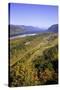 Looking East up the Columbia River, Columbia River Gorge National Scenic Area, Oregon-Craig Tuttle-Stretched Canvas