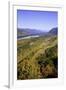 Looking East up the Columbia River, Columbia River Gorge National Scenic Area, Oregon-Craig Tuttle-Framed Premium Photographic Print