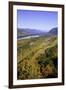 Looking East up the Columbia River, Columbia River Gorge National Scenic Area, Oregon-Craig Tuttle-Framed Premium Photographic Print