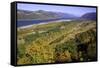 Looking East up the Columbia River, Columbia River Gorge National Scenic Area, Oregon-Craig Tuttle-Framed Stretched Canvas