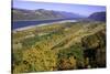 Looking East up the Columbia River, Columbia River Gorge National Scenic Area, Oregon-Craig Tuttle-Stretched Canvas