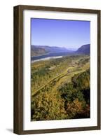 Looking East up the Columbia River, Columbia River Gorge National Scenic Area, Oregon-Craig Tuttle-Framed Photographic Print