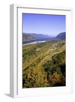 Looking East up the Columbia River, Columbia River Gorge National Scenic Area, Oregon-Craig Tuttle-Framed Photographic Print