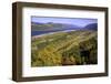 Looking East up the Columbia River, Columbia River Gorge National Scenic Area, Oregon-Craig Tuttle-Framed Photographic Print