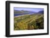 Looking East up the Columbia River, Columbia River Gorge National Scenic Area, Oregon-Craig Tuttle-Framed Photographic Print