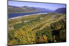 Looking East up the Columbia River, Columbia River Gorge National Scenic Area, Oregon-Craig Tuttle-Mounted Photographic Print