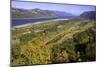 Looking East up the Columbia River, Columbia River Gorge National Scenic Area, Oregon-Craig Tuttle-Mounted Photographic Print