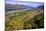 Looking East up the Columbia River, Columbia River Gorge National Scenic Area, Oregon-Craig Tuttle-Mounted Photographic Print