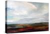 Looking East-Deanna Schuerbeke-Stretched Canvas