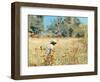 Looking for Butterflies, 1988-Gillian Furlong-Framed Giclee Print