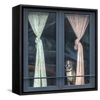 Looking for his buddy-Jef Van den-Framed Stretched Canvas