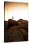 Looking For Lines Amongst The Stone In Joshua Tree National Park-Daniel Kuras-Stretched Canvas