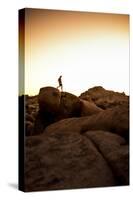 Looking For Lines Amongst The Stone In Joshua Tree National Park-Daniel Kuras-Stretched Canvas