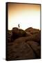 Looking For Lines Amongst The Stone In Joshua Tree National Park-Daniel Kuras-Framed Stretched Canvas