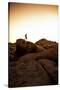 Looking For Lines Amongst The Stone In Joshua Tree National Park-Daniel Kuras-Stretched Canvas