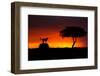 Looking for Something-Faisal ALnomas-Framed Photographic Print