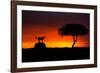 Looking for Something-Faisal ALnomas-Framed Photographic Print