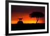 Looking for Something-Faisal ALnomas-Framed Photographic Print