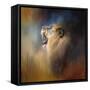 Looking for the Dentist-Jai Johnson-Framed Stretched Canvas