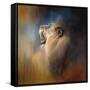 Looking for the Dentist-Jai Johnson-Framed Stretched Canvas