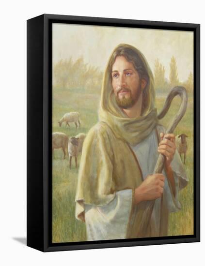 Looking for the One-David Lindsley-Framed Stretched Canvas