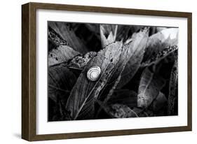 Looking Forward-Henriette Lund Mackey-Framed Photographic Print