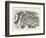 Looking Glass Country-John Tenniel-Framed Photographic Print
