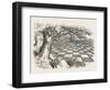 Looking Glass Country-John Tenniel-Framed Photographic Print