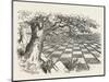 Looking Glass Country-John Tenniel-Mounted Photographic Print