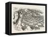 Looking Glass Country-John Tenniel-Framed Stretched Canvas