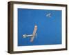 Looking into the Blue, 1918-Frank Johnston-Framed Giclee Print