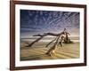 Looking Like a Sea Serpent, a Piece of Driftwood on the Beach at Dawn in Jekyll Island, Georgia-Frances Gallogly-Framed Photographic Print