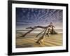 Looking Like a Sea Serpent, a Piece of Driftwood on the Beach at Dawn in Jekyll Island, Georgia-Frances Gallogly-Framed Photographic Print