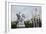 Looking..., Near Buckingham Palace, 2010-Cruz Jurado Traverso-Framed Giclee Print