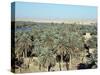 Looking North to Qa'Lat'Ana, Iraq, Middle East-null-Stretched Canvas