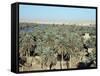 Looking North to Qa'Lat'Ana, Iraq, Middle East-null-Framed Stretched Canvas