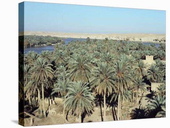 Looking North to Qa'Lat'Ana, Iraq, Middle East-null-Stretched Canvas