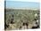 Looking North to Qa'Lat'Ana, Iraq, Middle East-null-Stretched Canvas