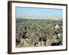 Looking North to Qa'Lat'Ana, Iraq, Middle East-null-Framed Photographic Print