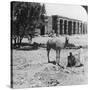 Looking North to the Temple of Sethos I, Thebes, Egypt, 1905-Underwood & Underwood-Stretched Canvas